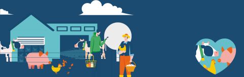 Visual for the report on animal welfare