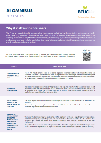 AI Omnibus, next steps