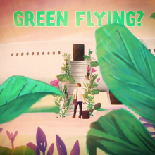 Green flying visual