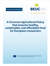 Cover of Consumer Recommendations "A Common Agricultural Policy that ensures healthy, sustainable, and affordable food for European consumers" 