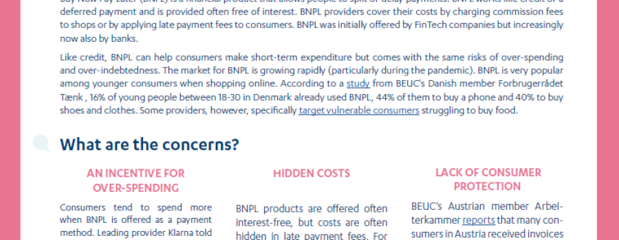 Buy Now Pay Later factsheet