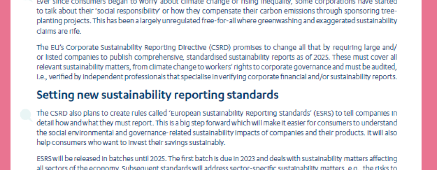 corporate sustainability reporting, factsheet cover