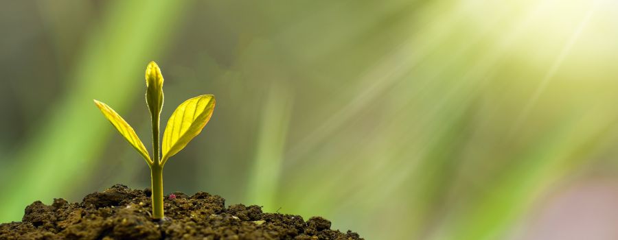 Sustainable investment