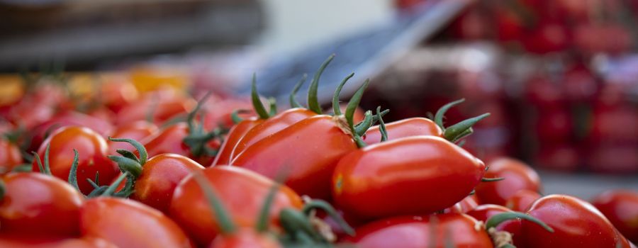 tomatos on shelves
