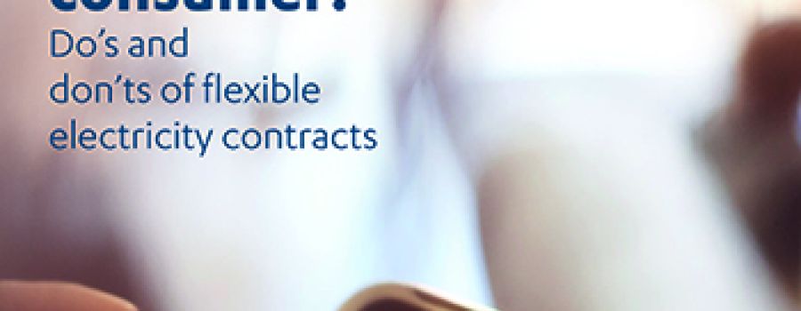 Cover: Do's and don'ts of flexible electricity contracts