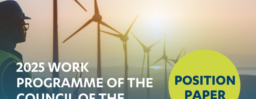 2025 workprogramme of the Council of the European Energy Regulators (CEER): BEUC's input to the public consultation