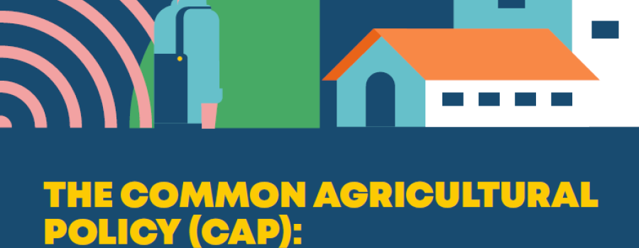The Common Agricultural Policy (CAP): What consumers want