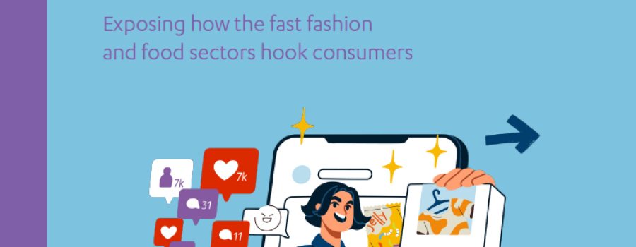 Blue cover with a drawing illustrating an influencer on a mobile phone showing a box of clothes