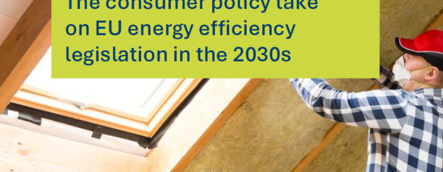 Response to consultation: The consumer policy take on EU energy efficiency legislation in the 2030s