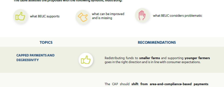 Key points on Post-2027 Common Agricultural Policy (CAP)