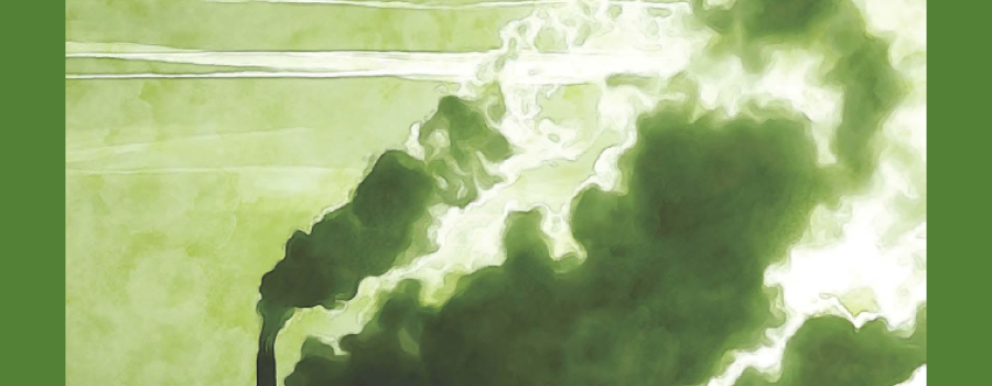 Switching off greenwashing: Annex II