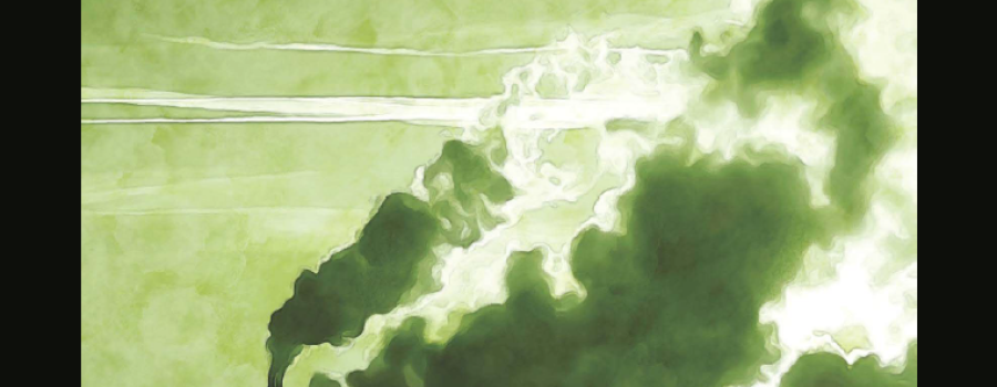 Switching off greenwashing: Annex I