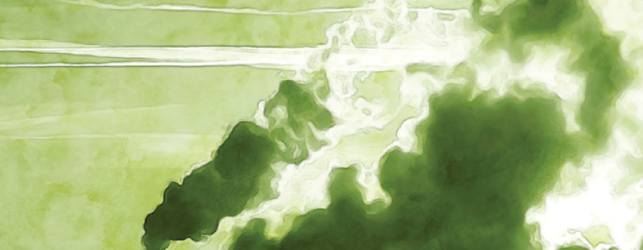 Switching off greenwashing