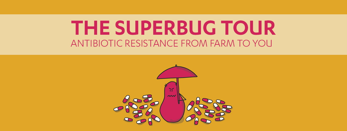 superbug-1.jpg